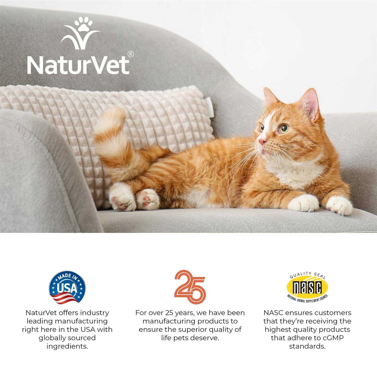 Senior Daily Vitamins Plus Glucosamine Cat Soft Chews N4966