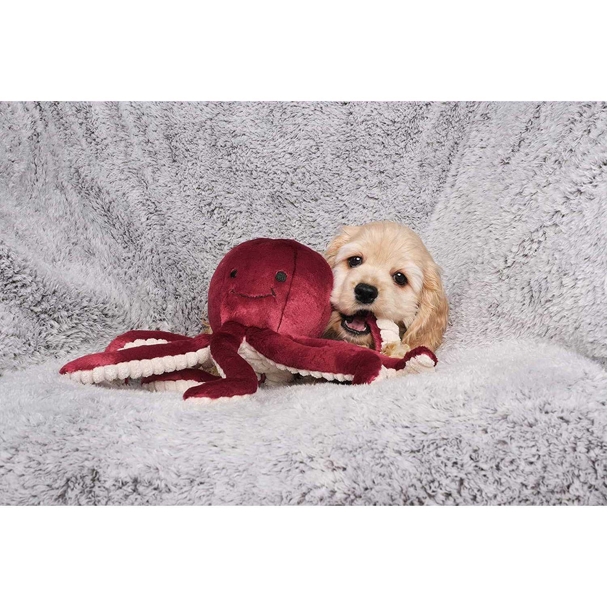 Olympia Octopus Pet Supplies X594