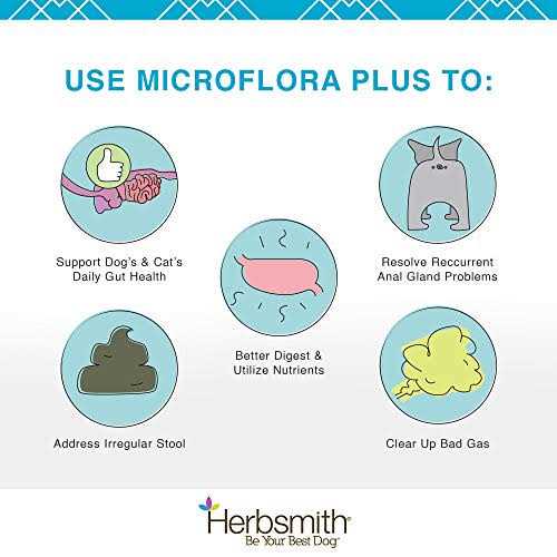 Microflora Plus for Digestion Pet Supplies Y391
