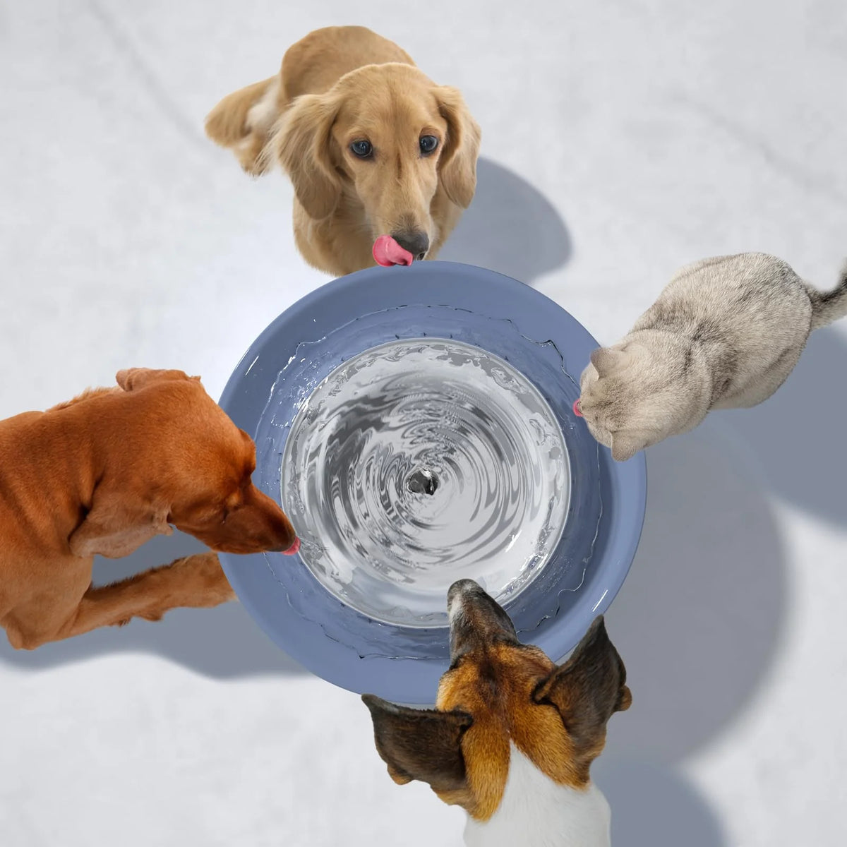 8L Automatic Dog Water Fountain M61722