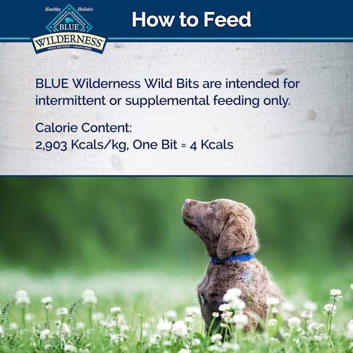 Dog Treats Q664