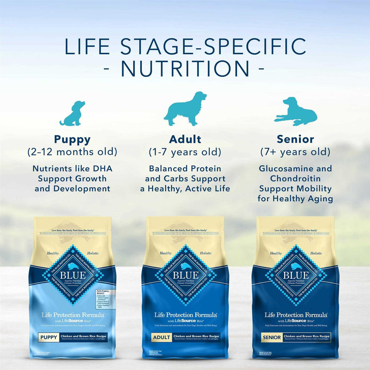 Dog Food Chicken and Brown Rice C91679