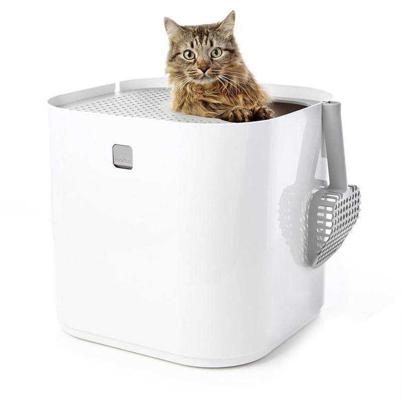 Litter Box B189764
