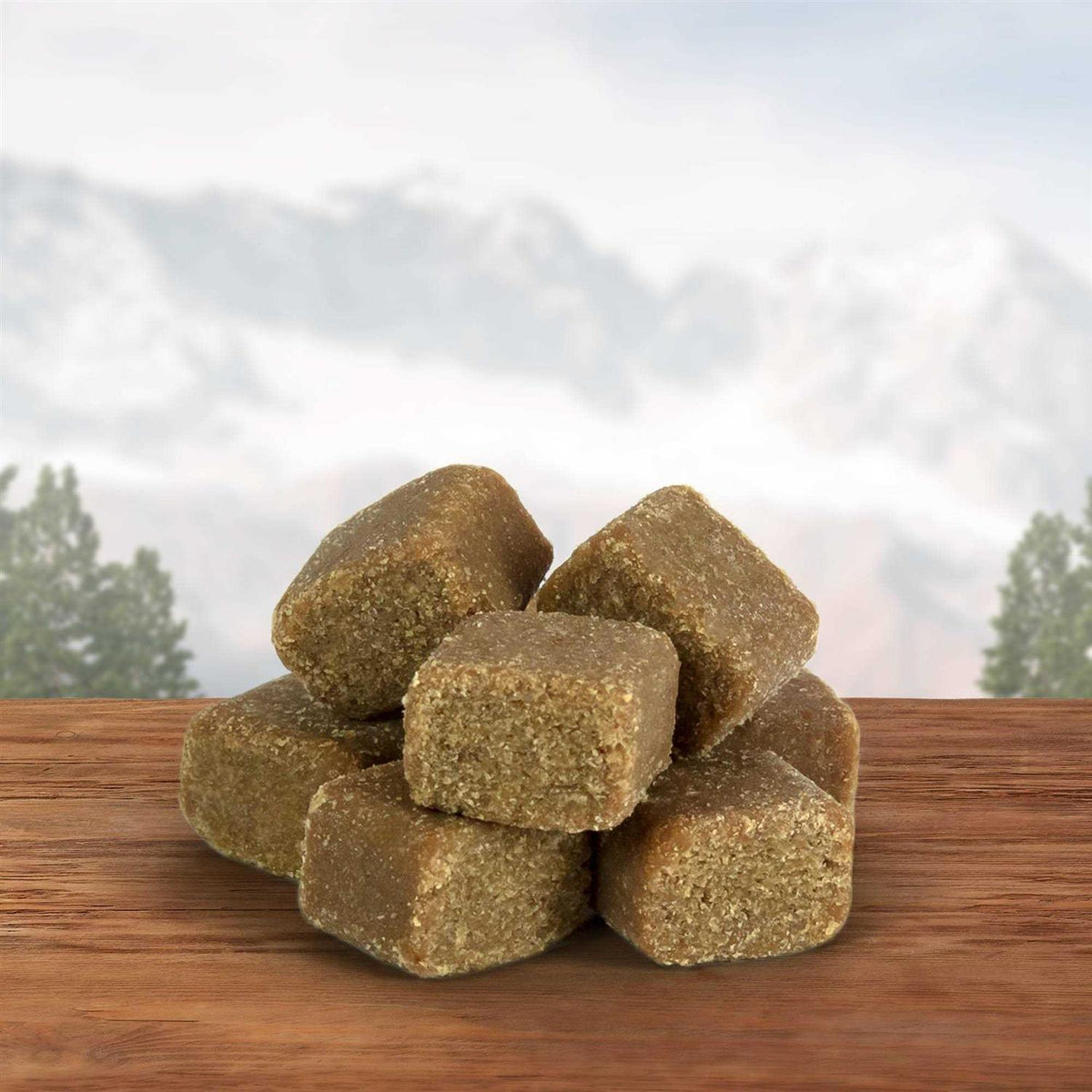 Dog Treats Q664