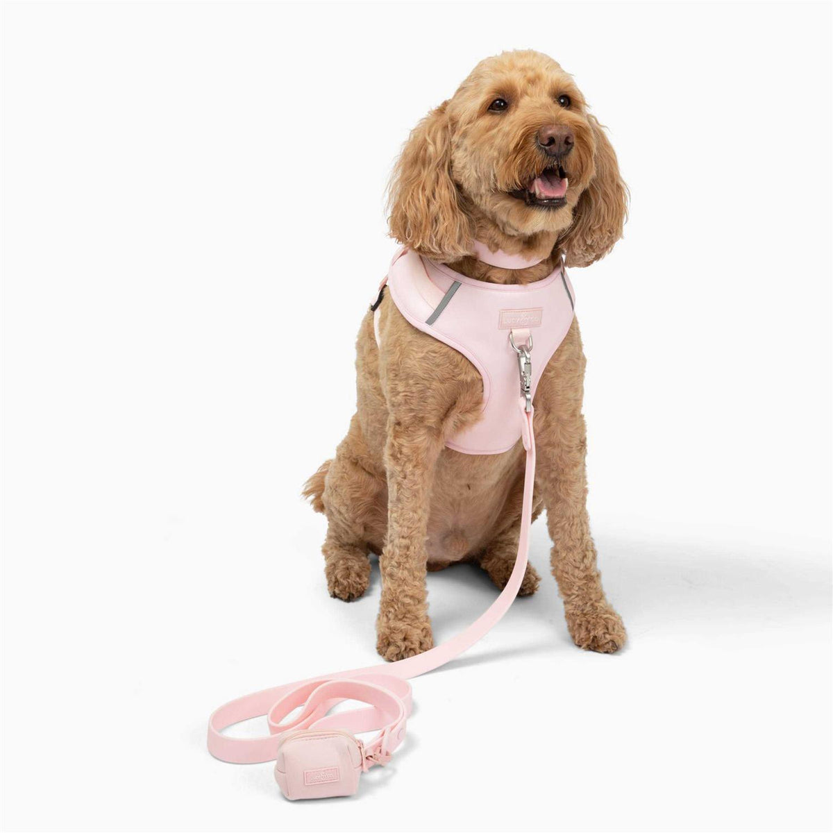 Neoprene Dog Harness B467