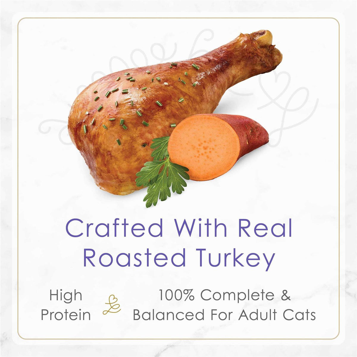 Cat Wet Food in Gravy E851