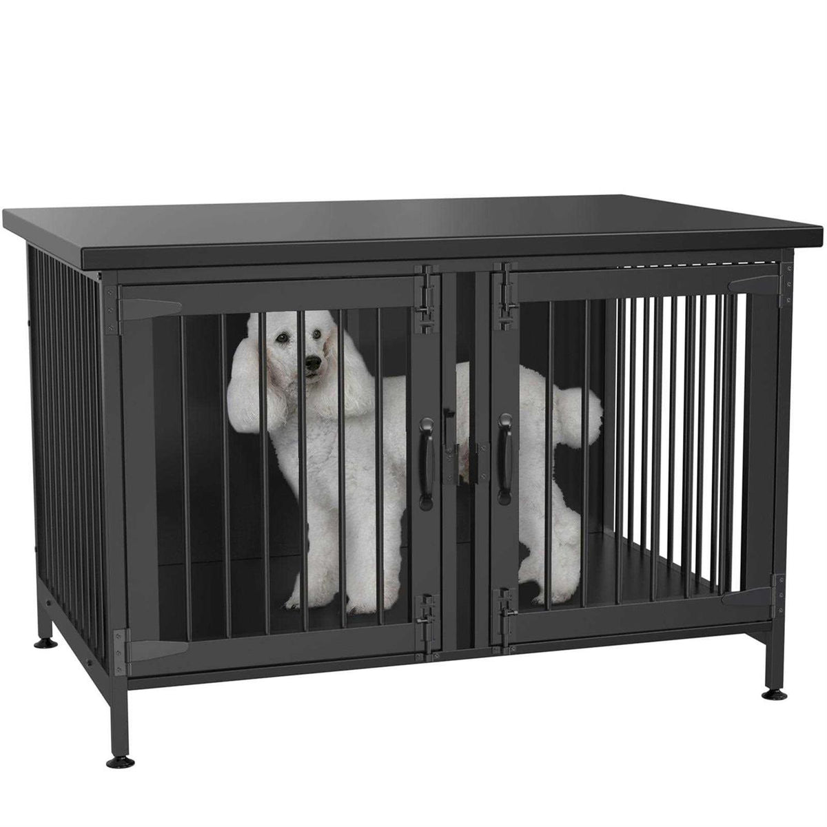Double Dog Crate with Divider I37285