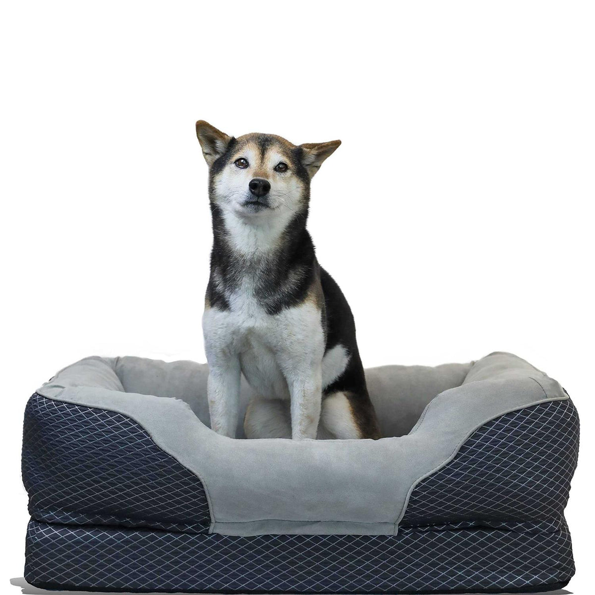 Gray Orthopedic Dog Bed F382