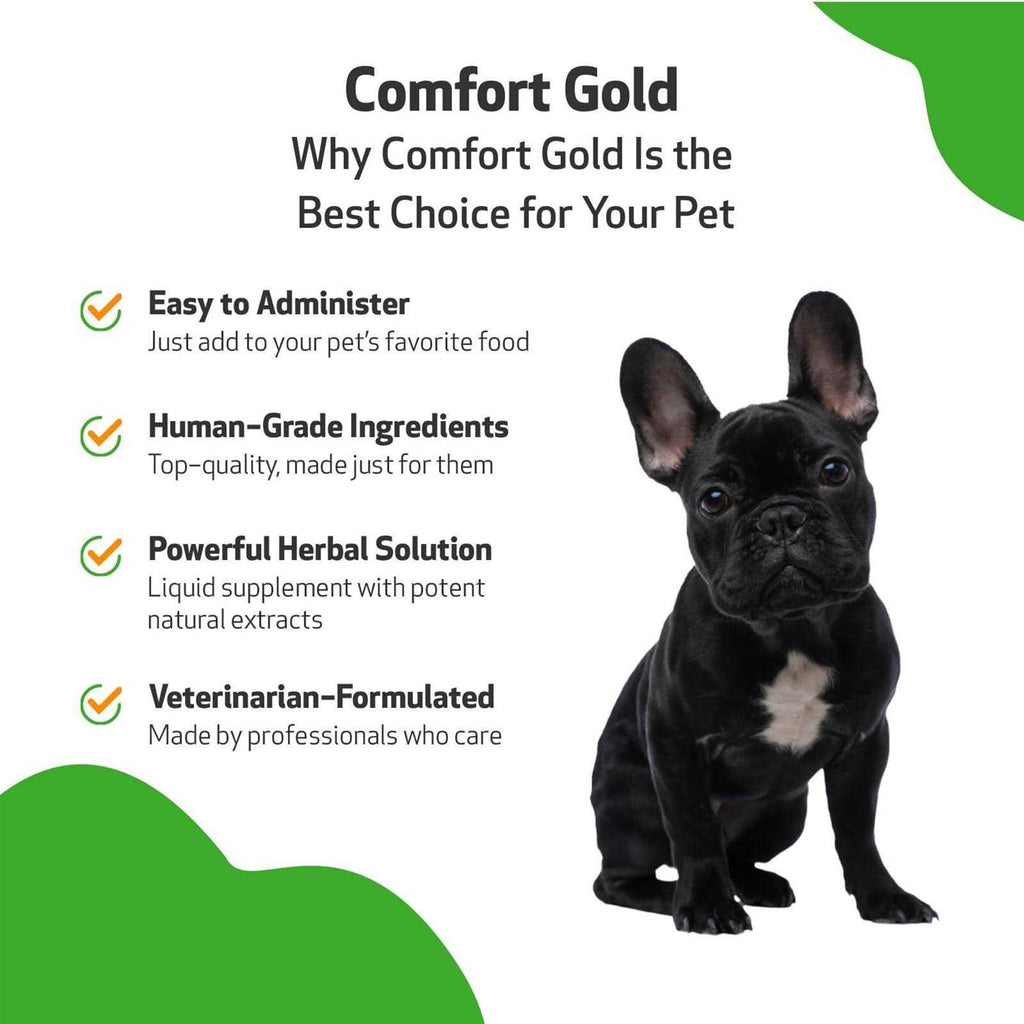 Comfort Gold for Dogs Y386