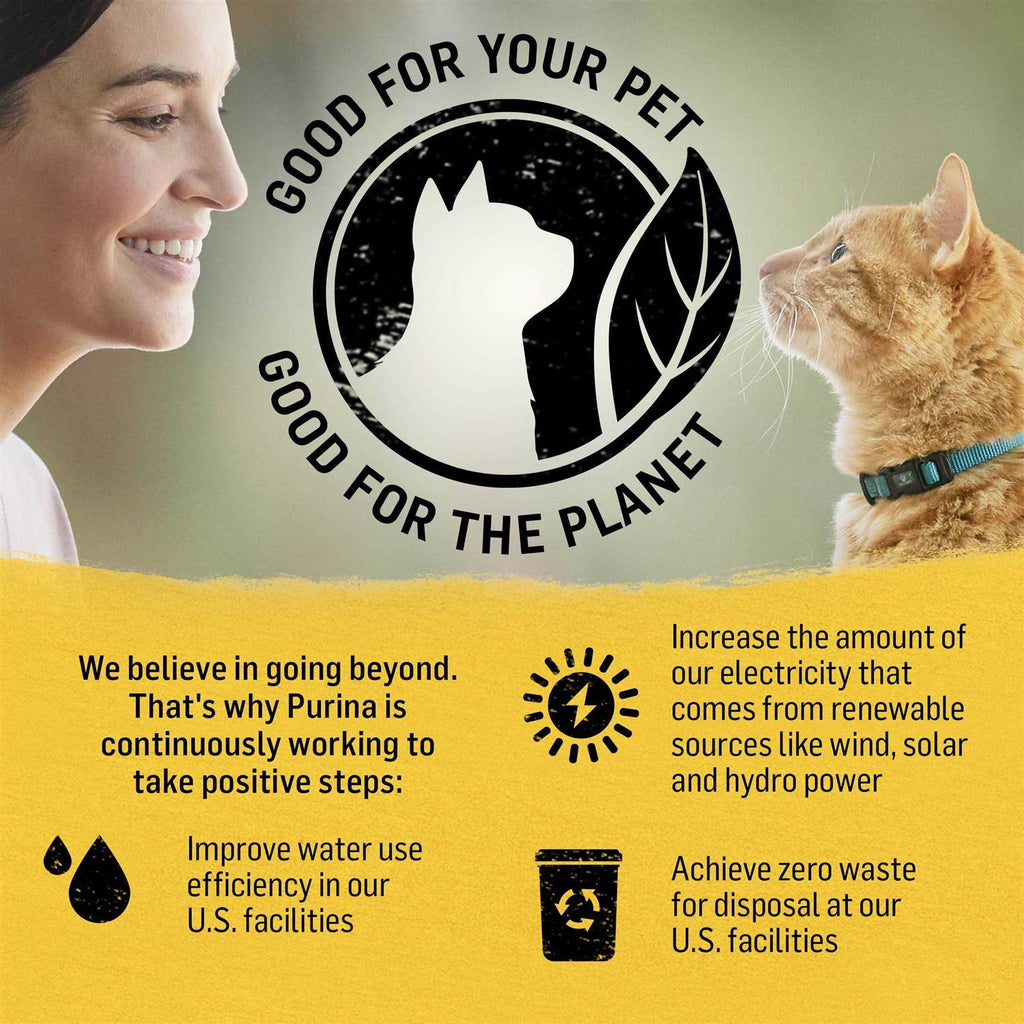 Cat Dry Food W83907