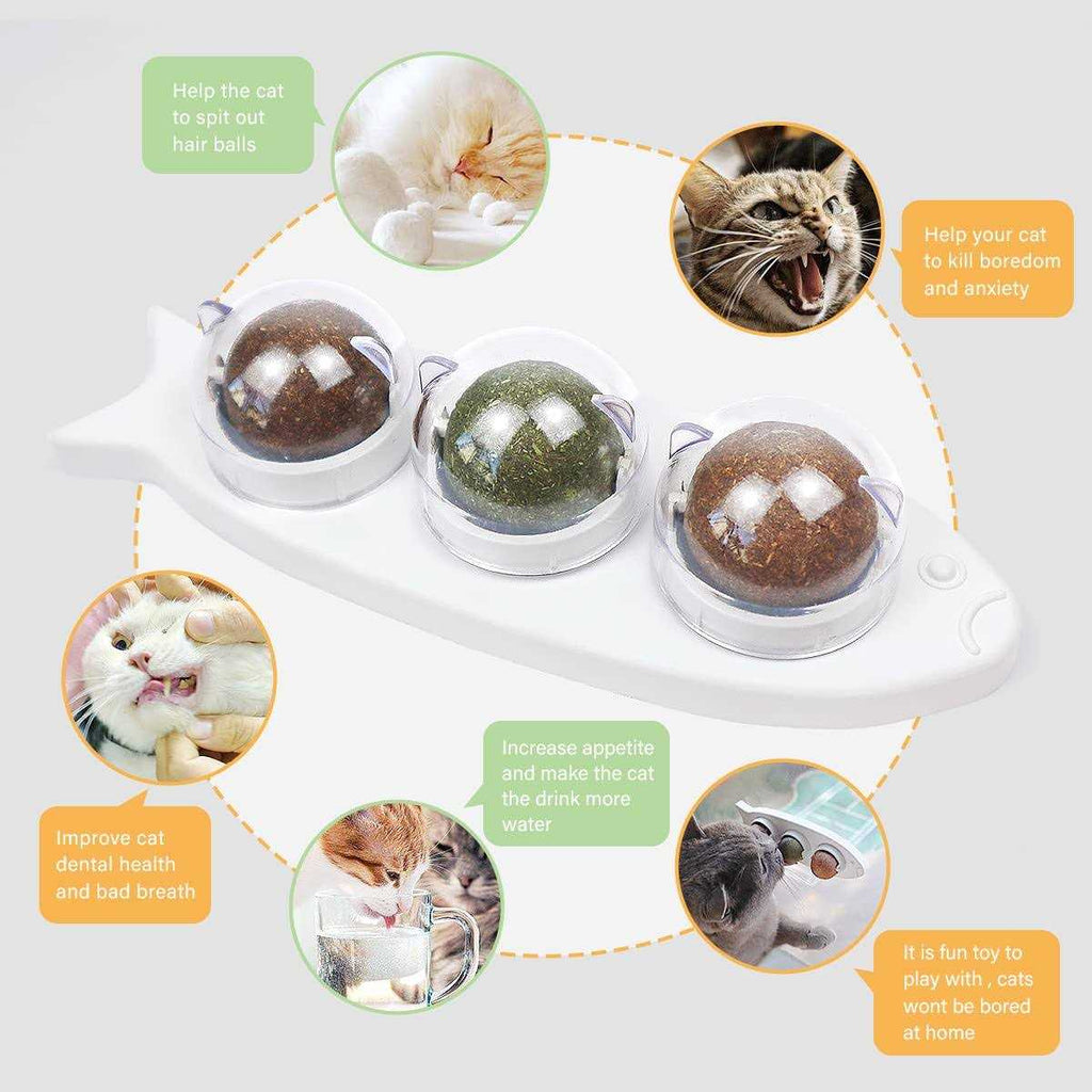 Catnip Wall Balls Toys for Cats E528