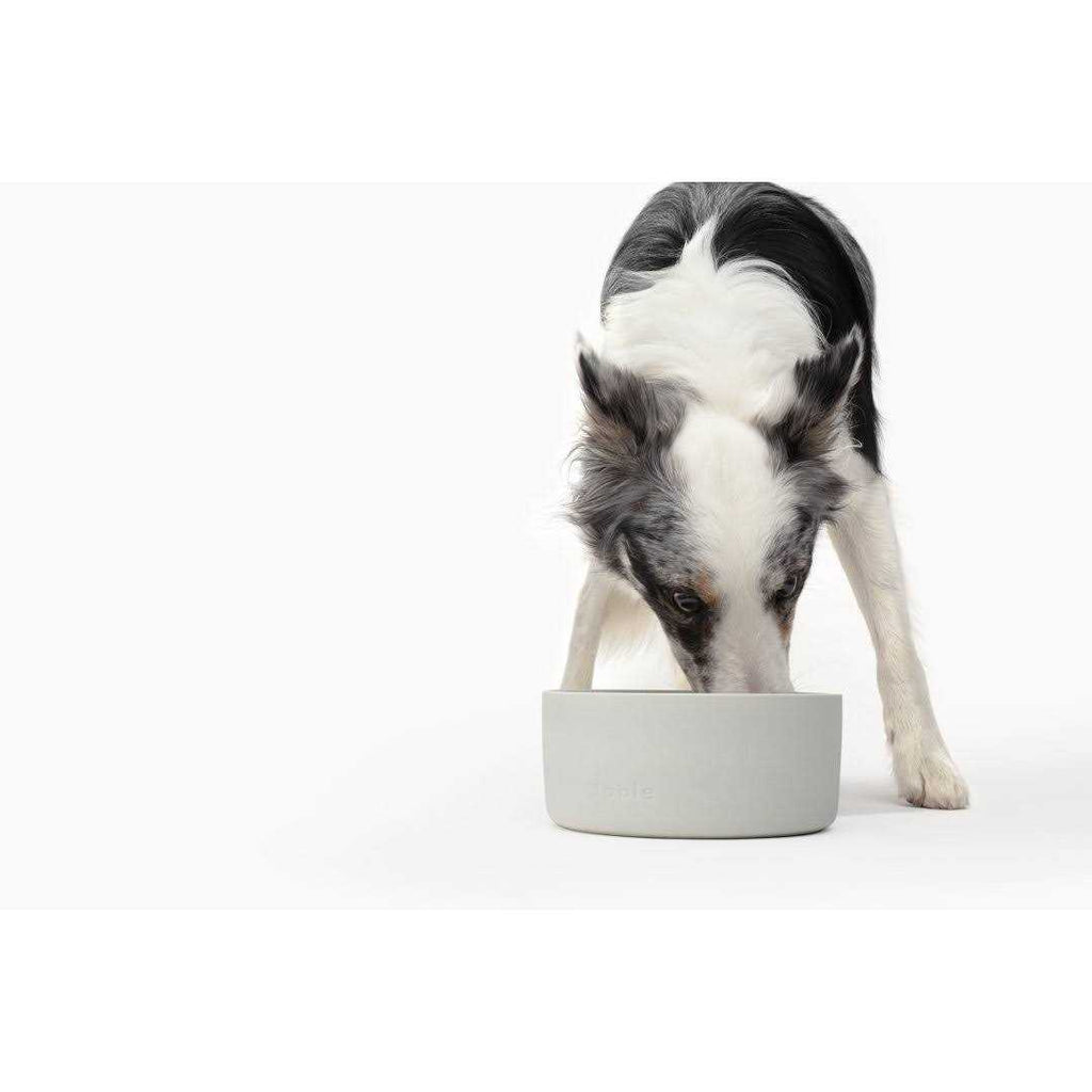 Bowl Z68089