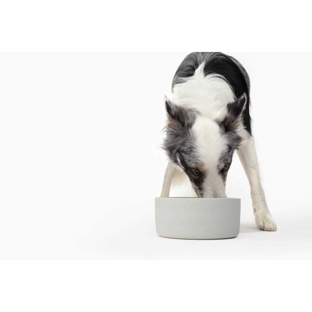 Bowl Z68089