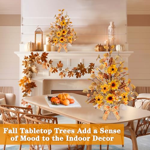 2 Pack Fall Tabletop Tree with 48 LED Battery Operated 18 Inch Y6274