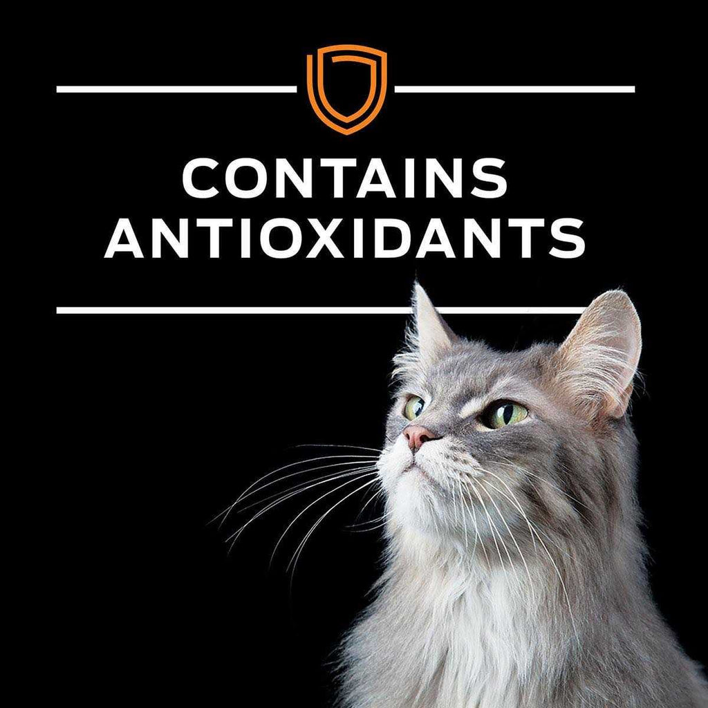 Wet Cat Food Variety Pack T27814