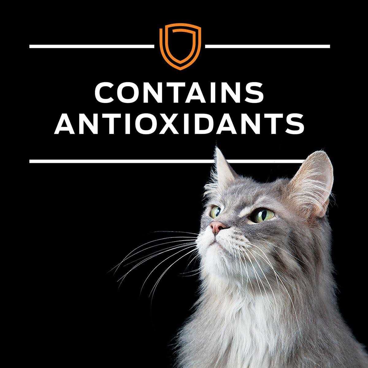 Wet Cat Food Variety Pack T27814