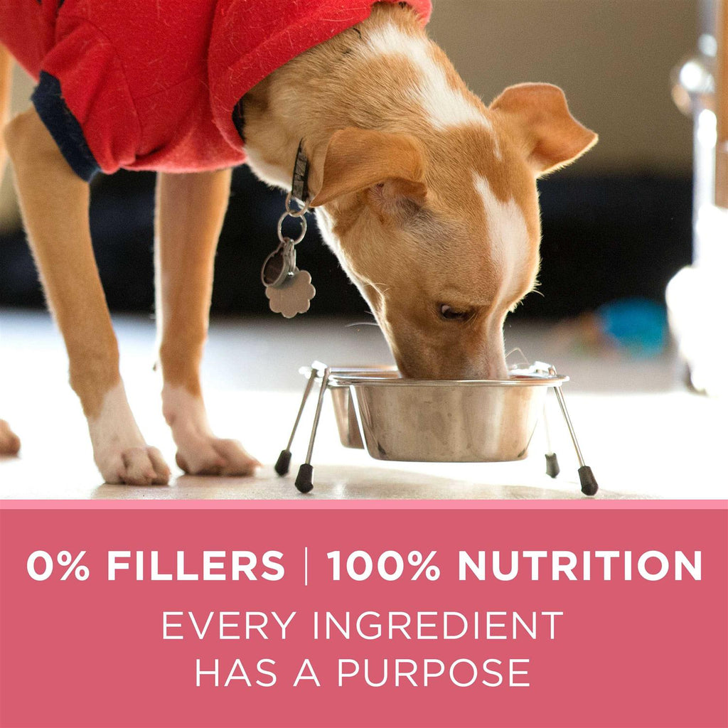 Skin & Coat Formula Dry Dog Food F9937