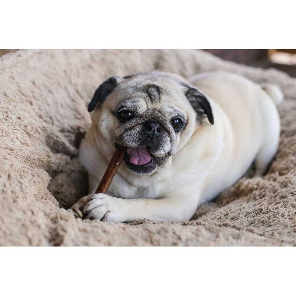 Natural Beef Bully Sticks Y68102