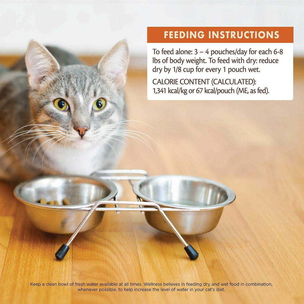 Wet Cat Food K423