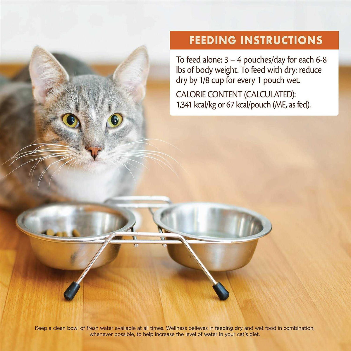 Wet Cat Food K423