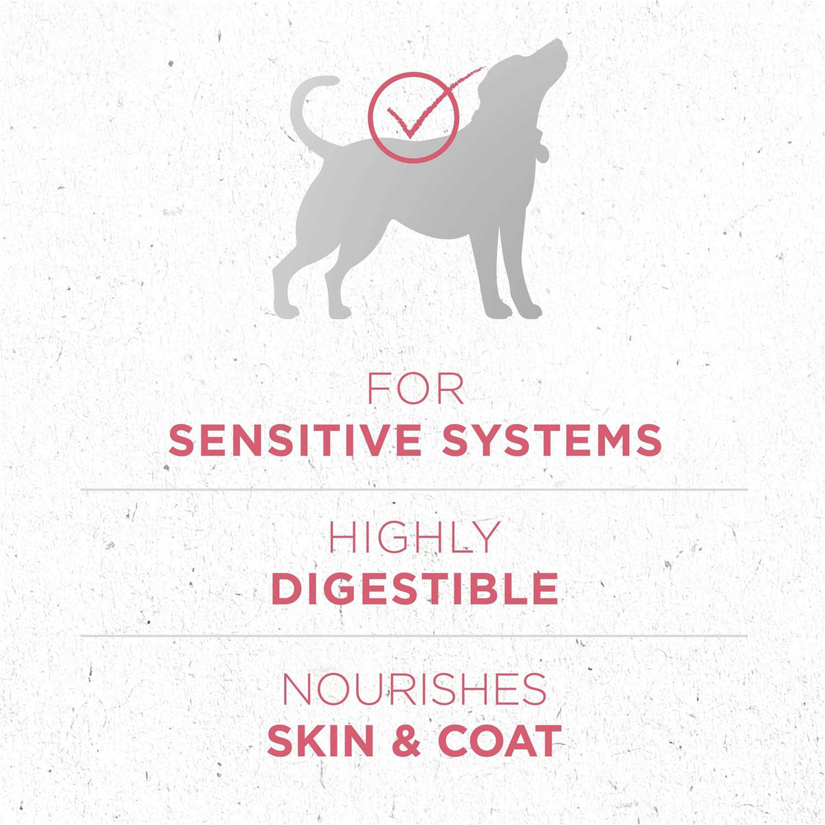 Skin & Coat Formula Dry Dog Food F9937