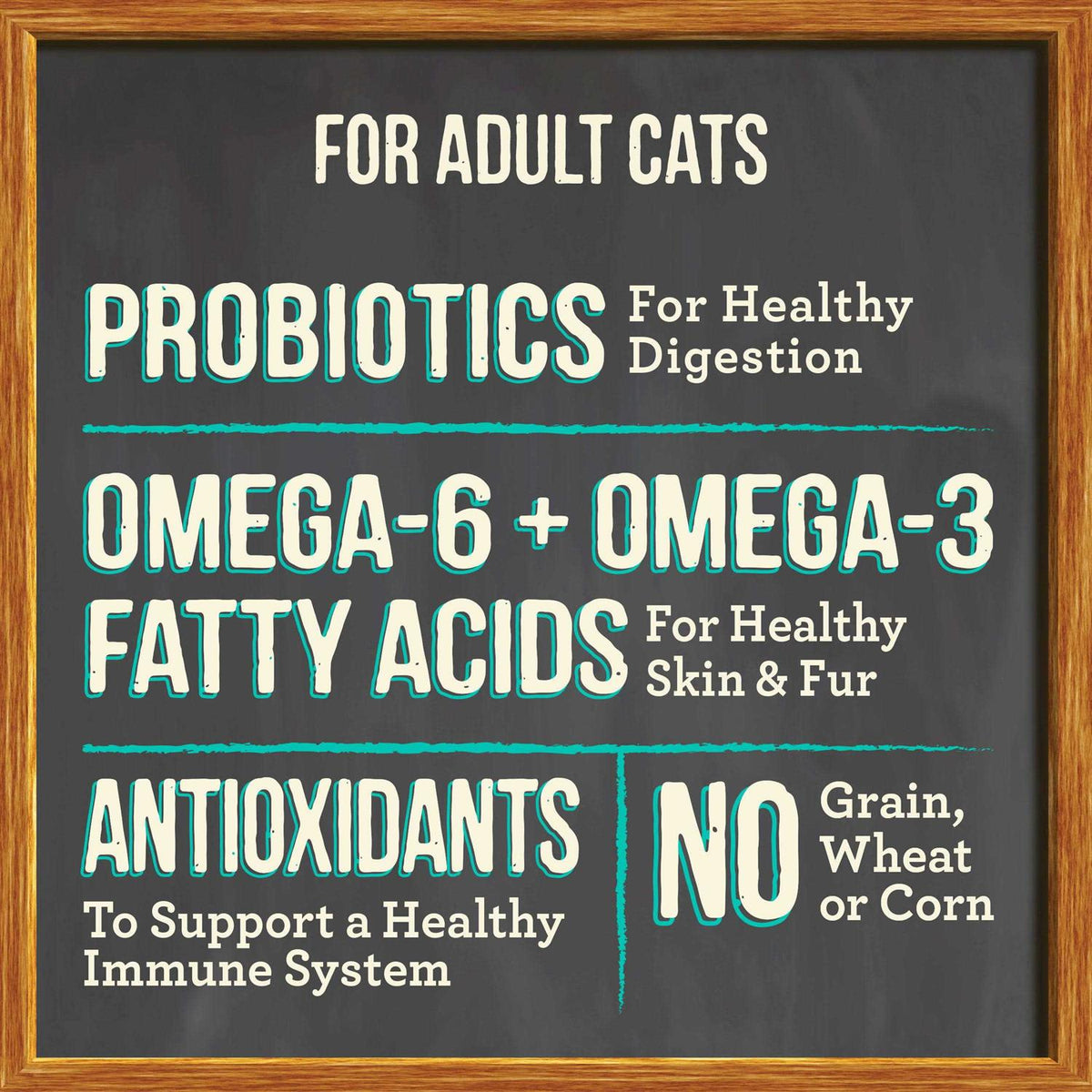 Dry Cat Food M2407