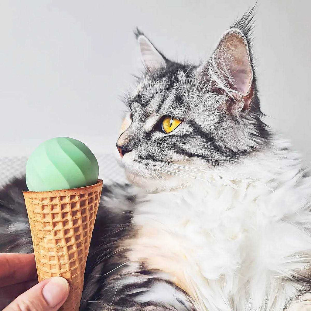 Interactive Cat Toy Ball J800