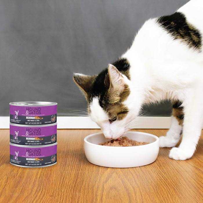 Canned Cat Food 5.5oz Liver A5288