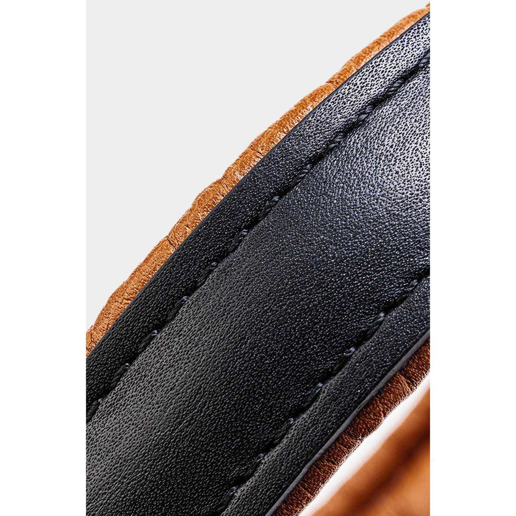 Padded Leather Dog Collar K722822