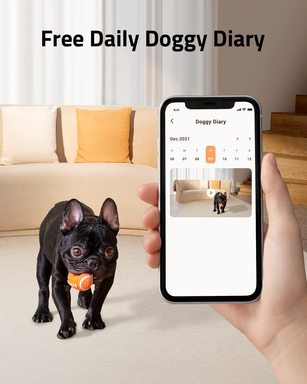 1080p Pet Camera with Treat Dispenser and 2-Way Audio Z8822