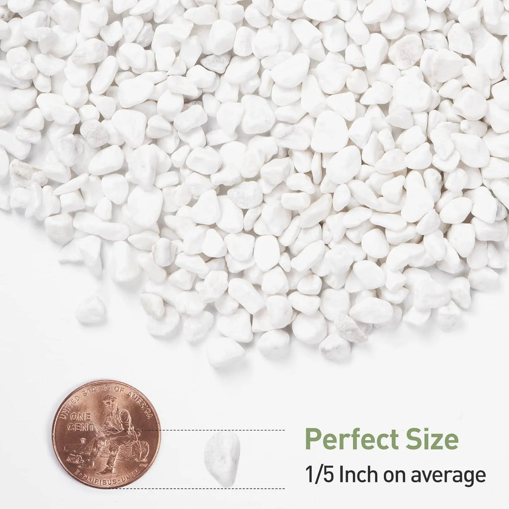 White 5LBs Pebbles B1692