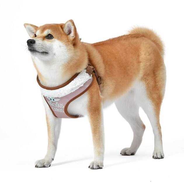 Dog Harness M75563