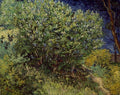 Van Gogh Lilac Bush Giclee on Canvas V549563