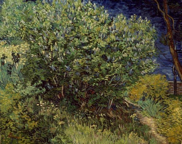 Van Gogh Lilac Bush Giclee on Canvas V549563