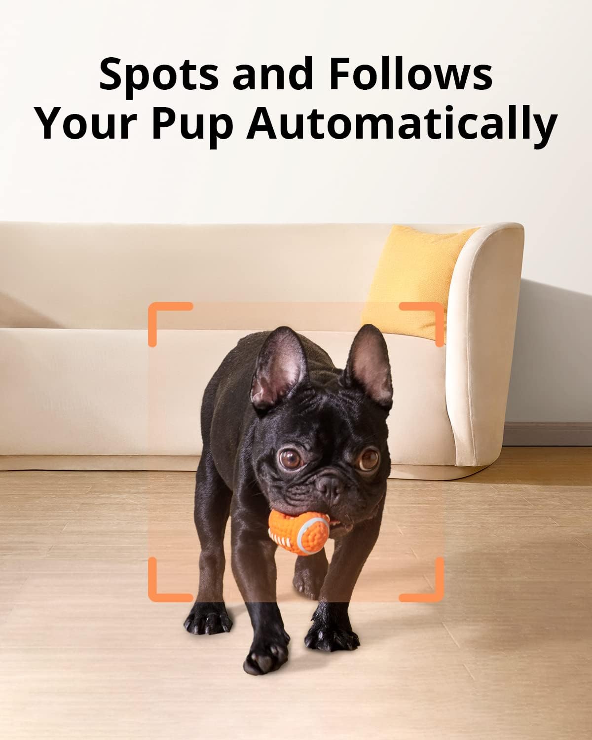 1080p Pet Camera with Treat Dispenser and 2-Way Audio Z8822