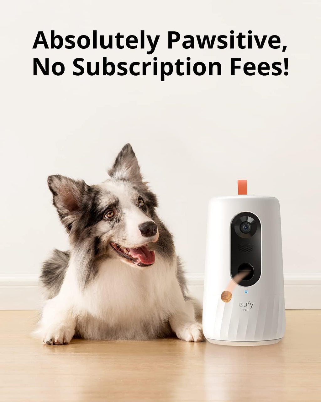 1080p Pet Camera with Treat Dispenser and 2-Way Audio Z8822