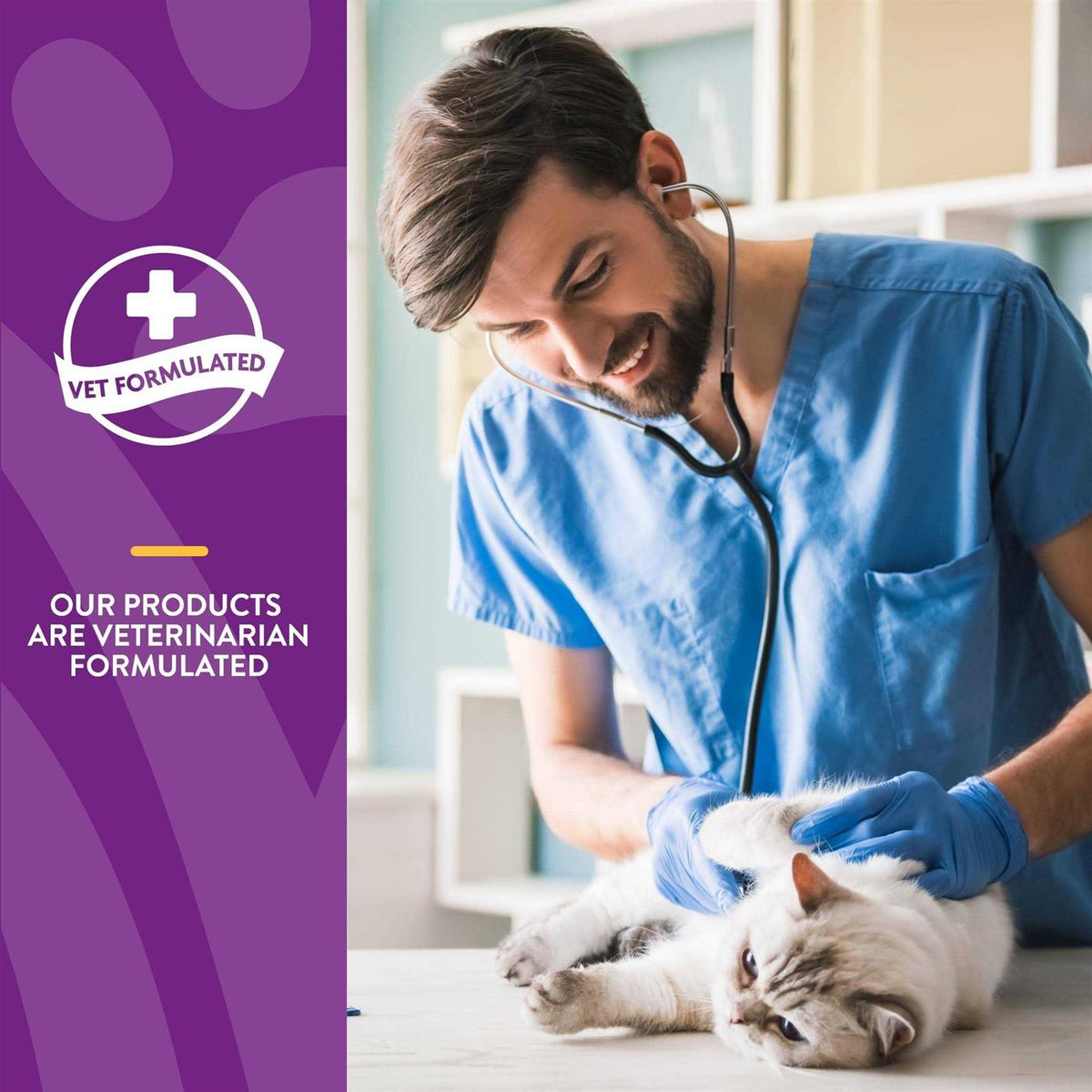Senior Daily Vitamins Plus Glucosamine Cat Soft Chews N4966