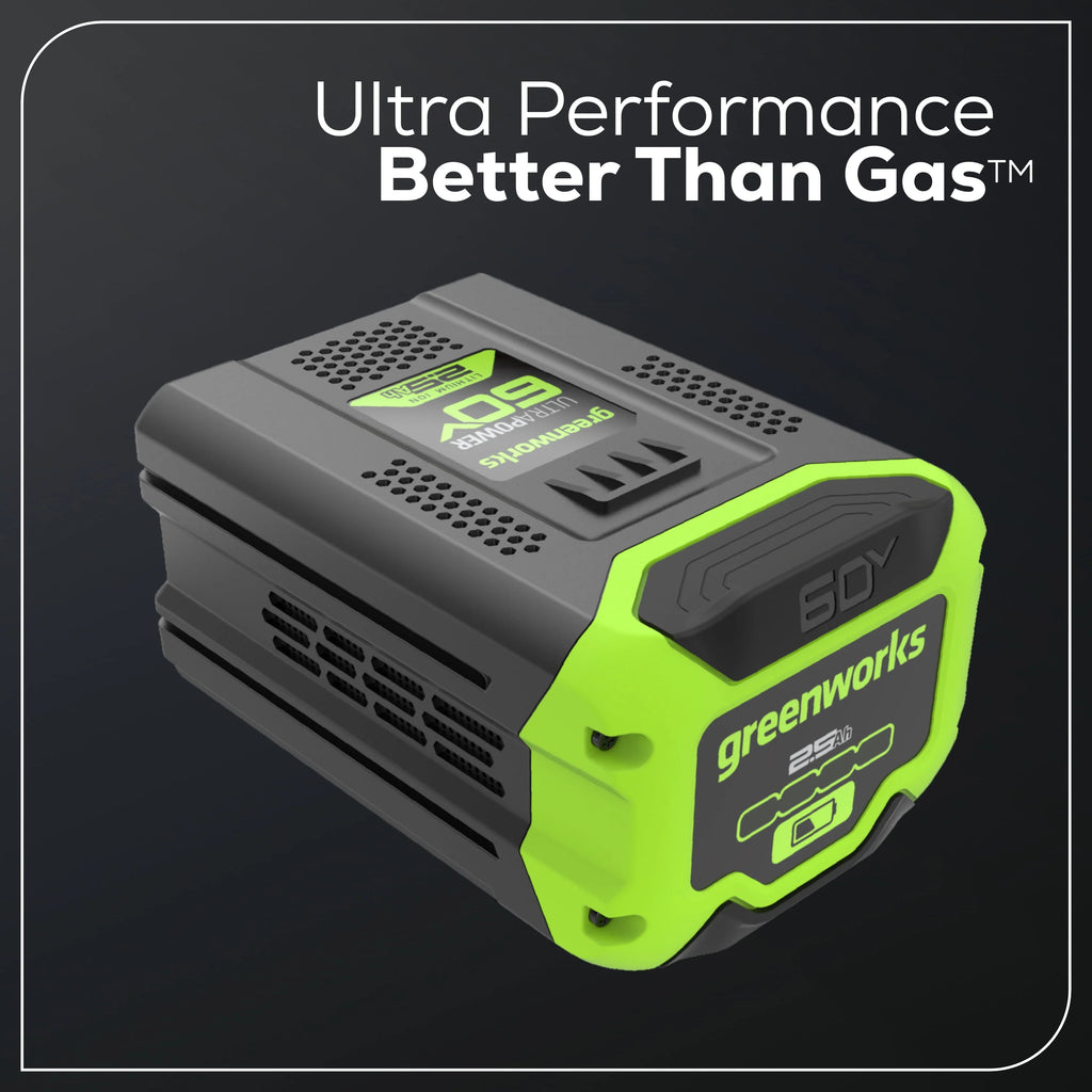 60 Volt 2.5 Ah Battery U160896