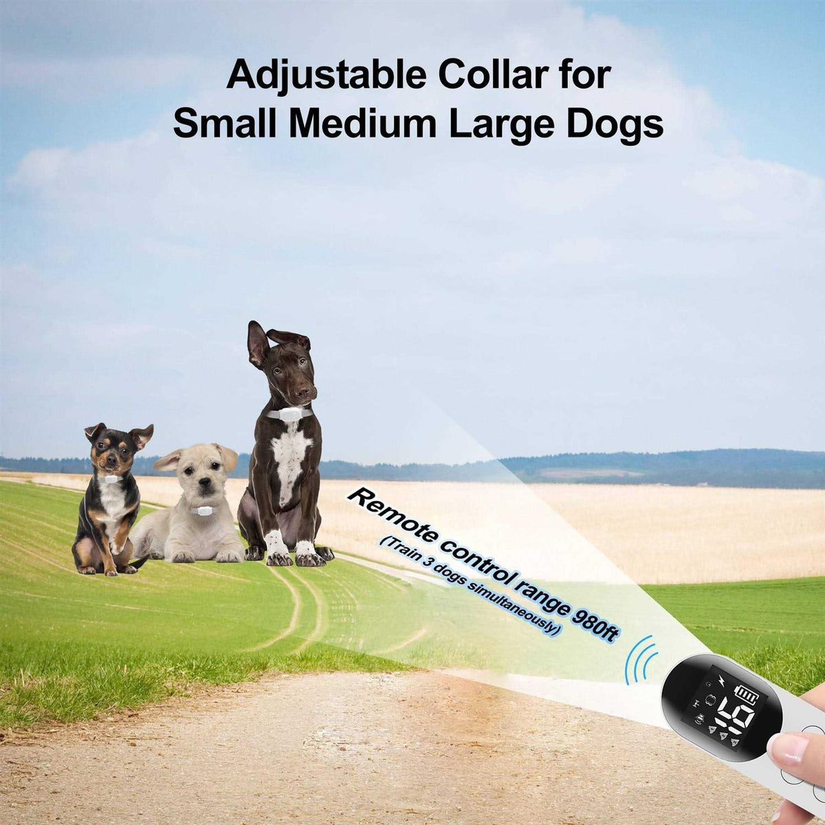 Waterproof Remote Dog Training Collar Z5236