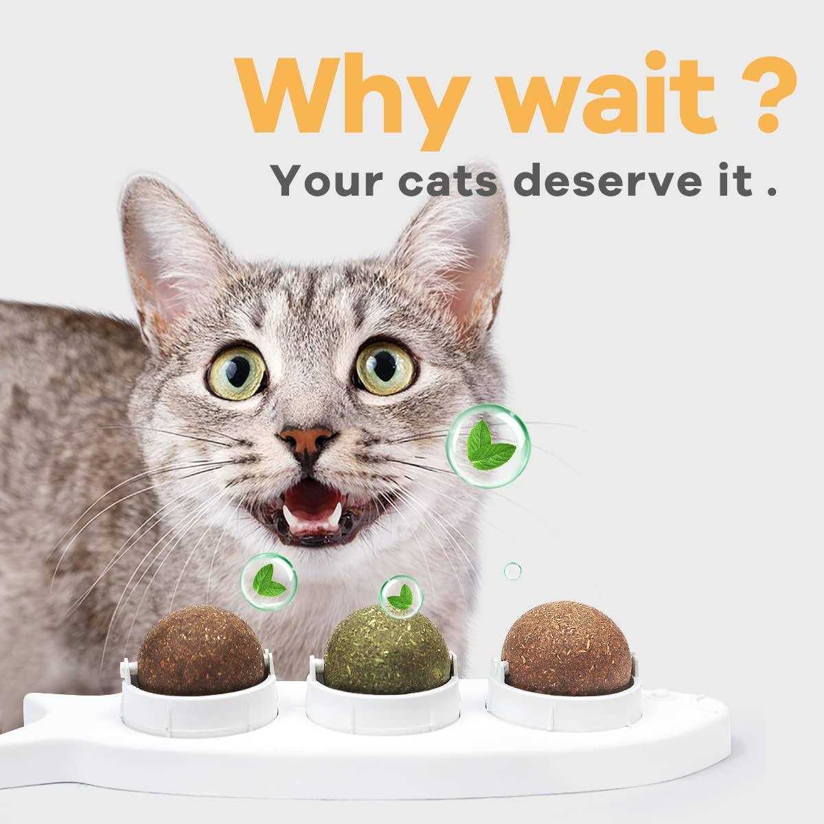 Catnip Wall Balls Toys for Cats E528