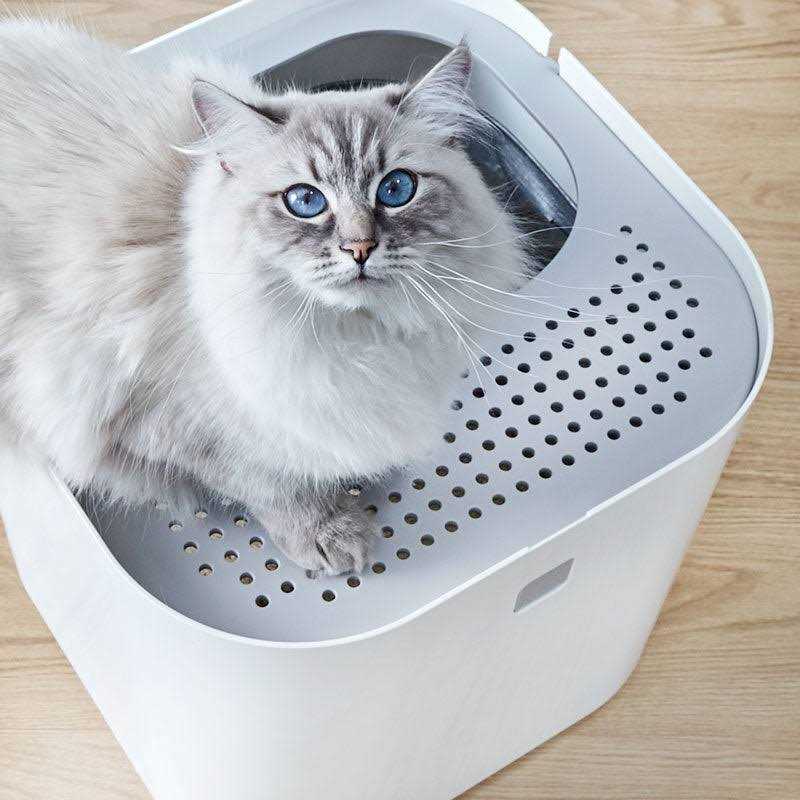 Litter Box B189764