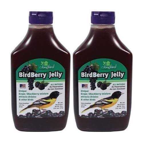 Birdberry Jelly 20 oz J20543
