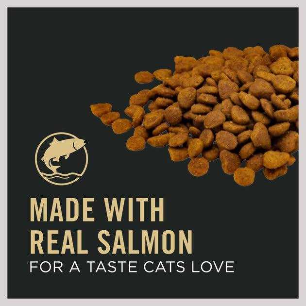 Salmon and Rice Senior Dry Cat Food I8155