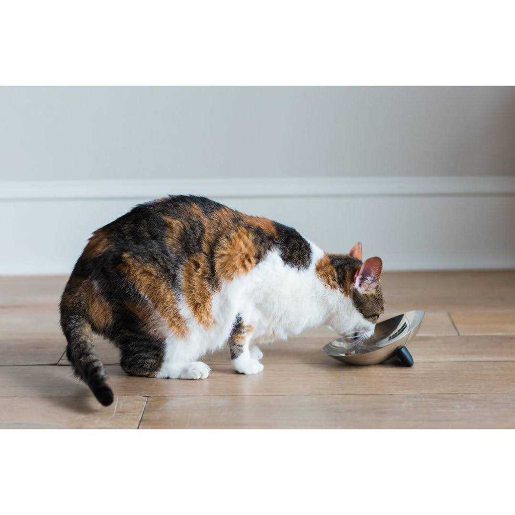 Stainless Steel Cat Bowl U972970