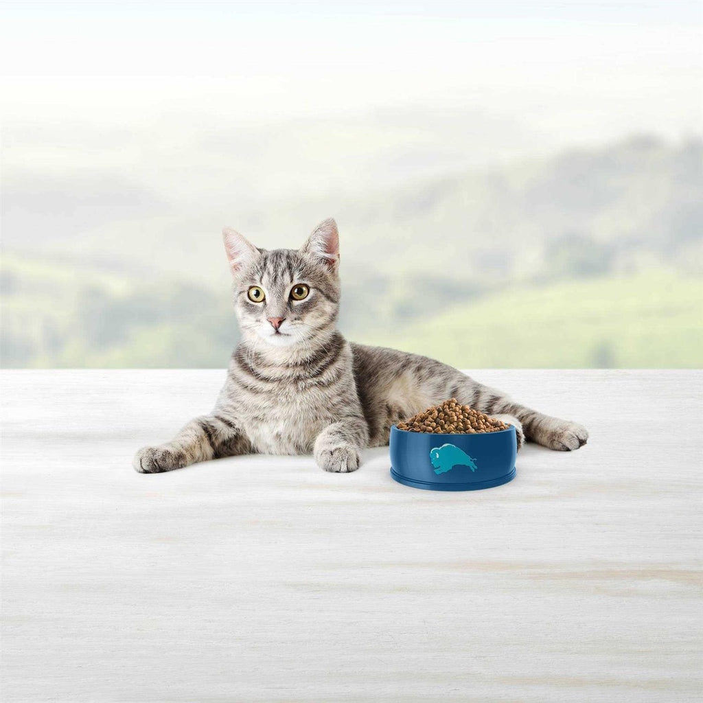 Blue Indoor Hairball Control Adult Dry Cat Food E5741
