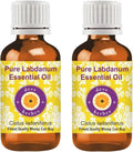 Pure Labdanum Essential Oil Steam Distilled 100ml X 2 G346