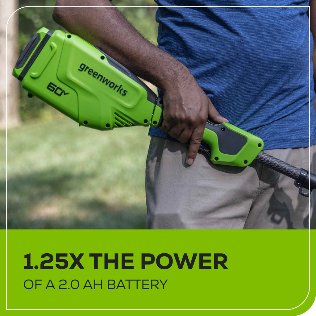 60 Volt 2.5 Ah Battery U160896