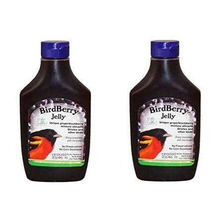 Birdberry Jelly 20 oz J20543