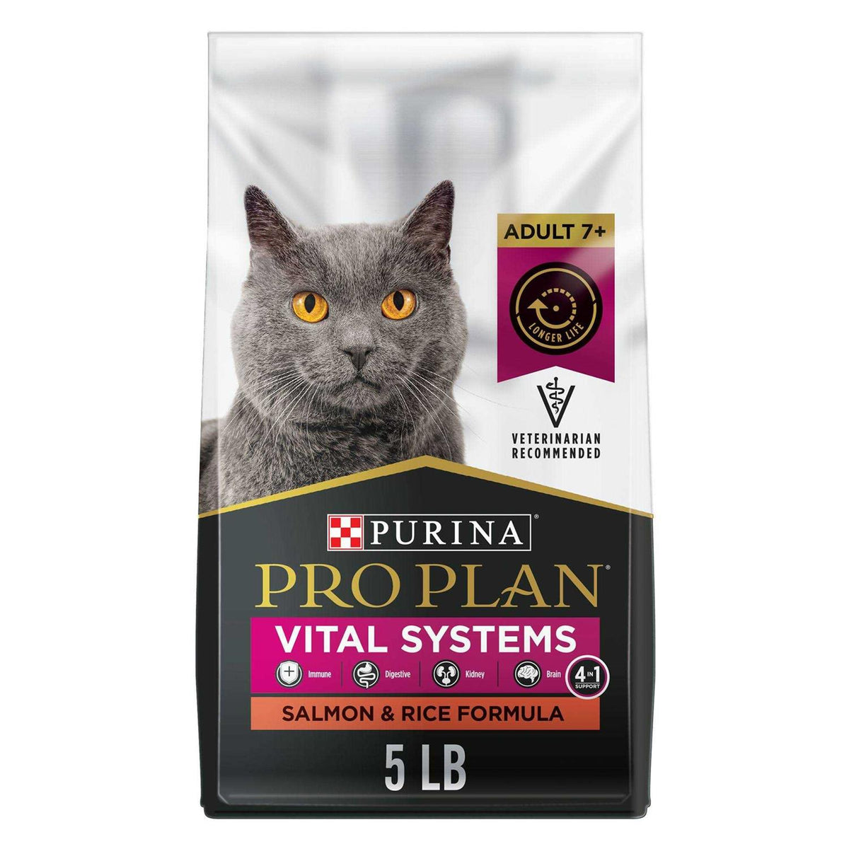 Salmon and Rice Senior Dry Cat Food I8155